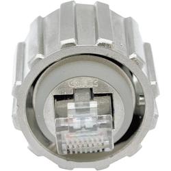 Stecker
