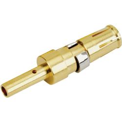 Hochspannungsstecker (Steckdose) 