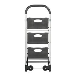 Mobile Allzweckleiter / Transportkarre (MLK) 
