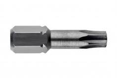 Torx Bit