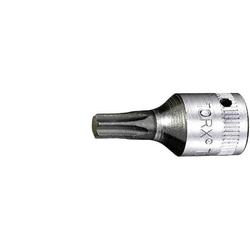 Torx Sockel