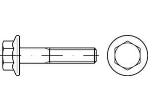 DIN 6921 Sechskantschrauben mit Flansch