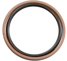 Kolbendichtung, PTFE-Glas, mit O-Ring NBR, OMK-MR