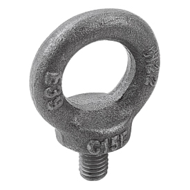 Ringschrauben DIN 580 (07680)