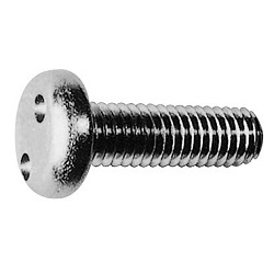 Linsenkopfschrauben / Zweilochantrieb