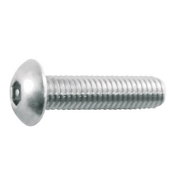 Linsenkopfschrauben / Innensechskant mit Stift / rostfreier Stahl / B103