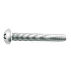 Linsenkopfschrauben / Innensechsrund mit Stift / rostfreier Stahl / B106